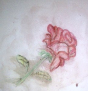 My Mom's Favorite Flower