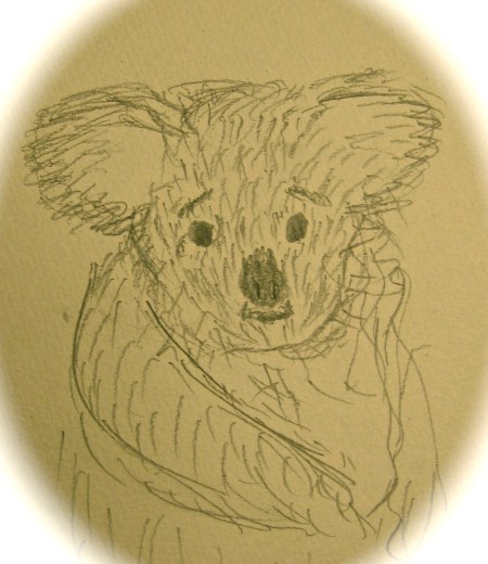 First Koala