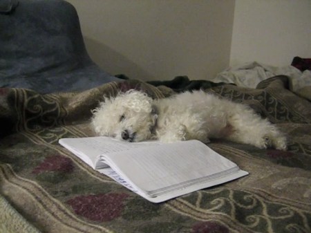 Pearl Fine Romance-poster