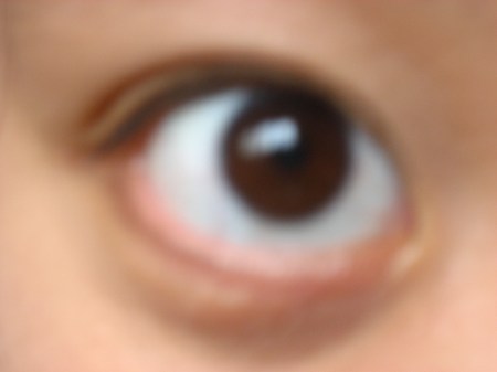 Christina's pictures 271