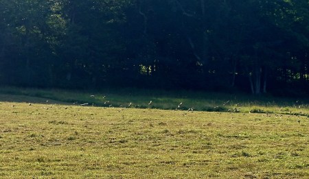 DSC00382 - Version 4