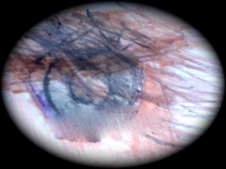 Photo on 2010-05-13 at 23.49